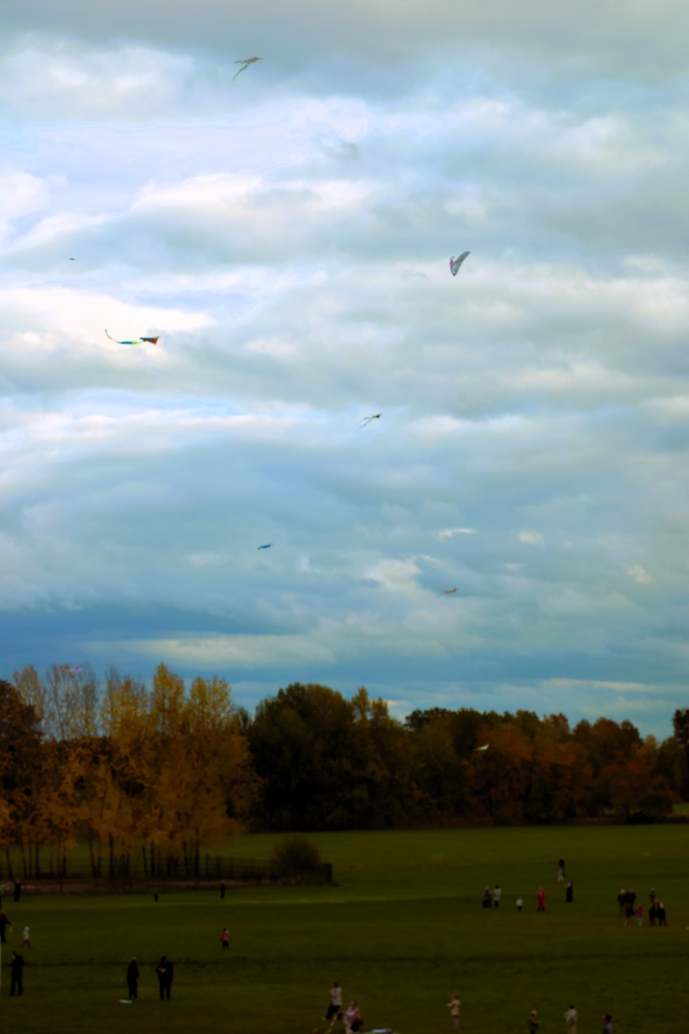 DSC08582.jpg